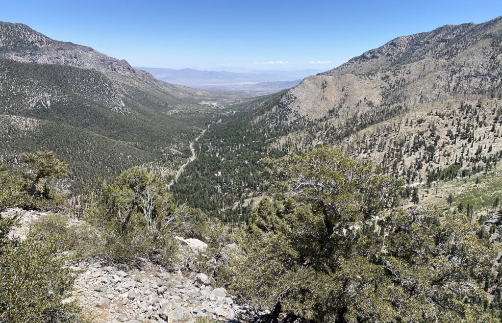 favorite attractions on mount charleston