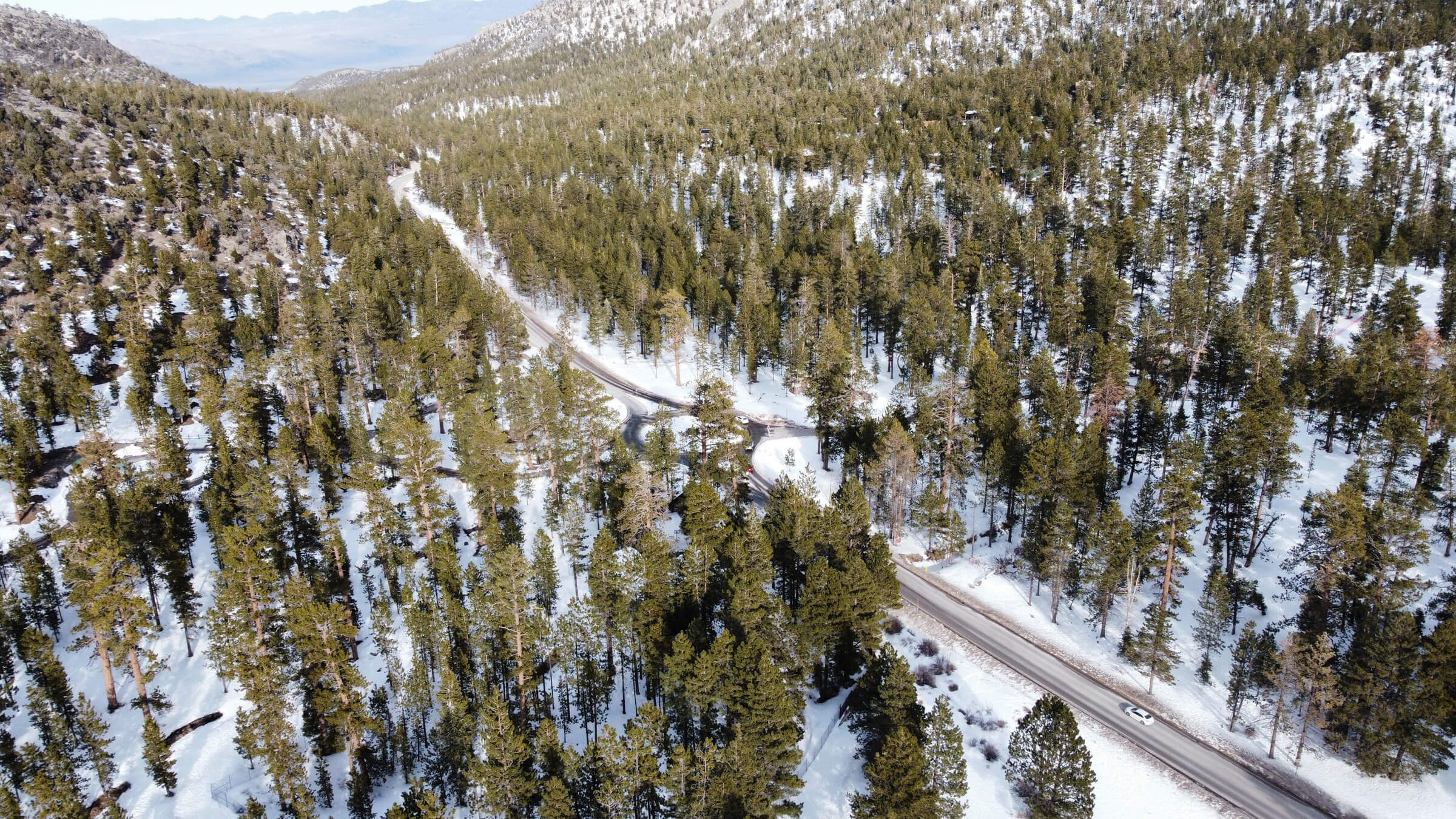 4 Best Places to See Snow in Las Vegas