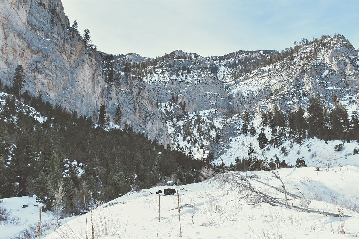 Mount Charleston